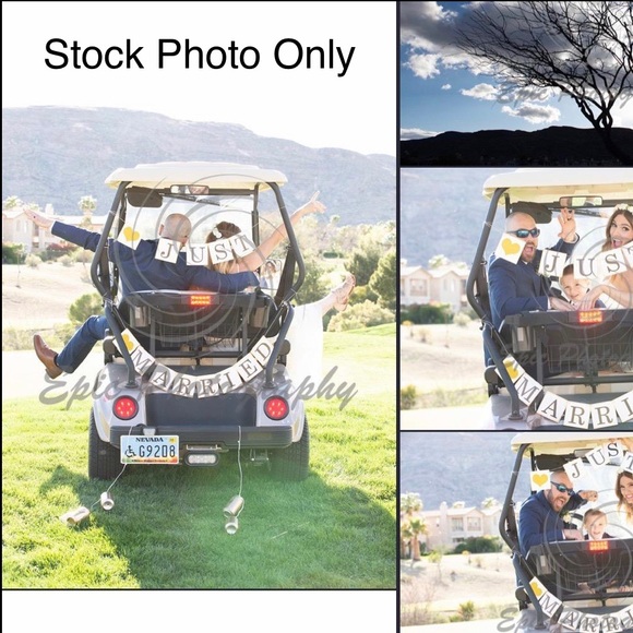 Just Married Banner - Picture 3 of 5